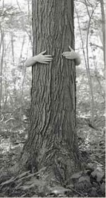 tree hugger.jpg