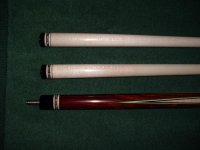 Rat Cue 007.JPG
