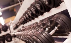 Free_Weights_1.jpg