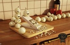 onions.jpg