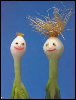 onions 2.jpg