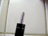 IMG_1596.jpg
