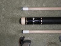 DiveneyButt.jpg DiveneyButt.jpg