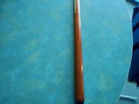 Snapshot_20100307_21.jpg