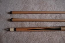 DSC_8922 compressed.JPG