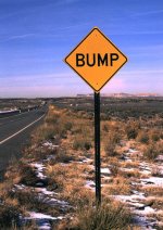 bump2-1.jpg