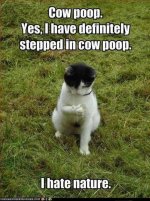 poop.jpg