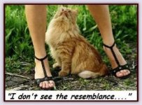 I dont see.jpg