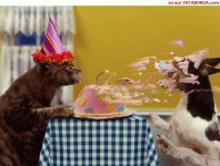 happy-birthday-2.jpg