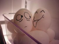 egg 1.jpg