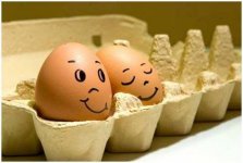 egg 2.jpg