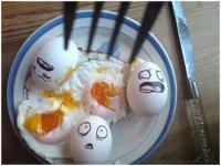 egg 5.jpg