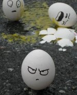 egg 11.jpg