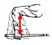 anatomicallength.jpg
