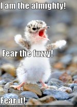 Fear the Fuzzy!.jpg