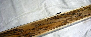 display case 002.jpg