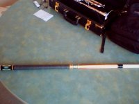 Snapshot_20100307_11.jpg