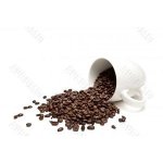 spill the beans.jpg