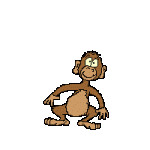 jumping-monkey-gif-animation.gif jumping-monkey-gif-animation.gif