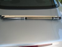 IMG_0372.jpg