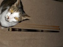 pred wrapless 007.jpg pred wrapless 007.jpg