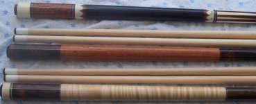 sugartree rears 1.jpg