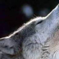 whitewolf
