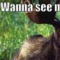 MooseKnuckle