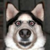 Cuedog