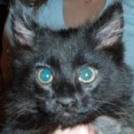 jinxy