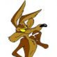 Coyote Kris