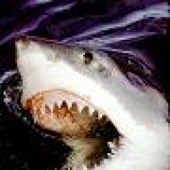 Shaka