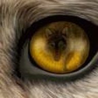 THE WOLF