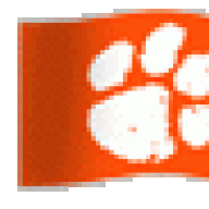 TigerPaw