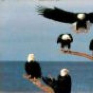 EAGLES