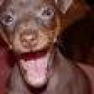 LarryGreen