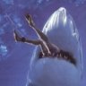 Sharky
