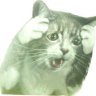 1337