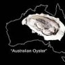 AOyster