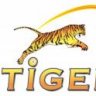 Tiger Am Tour