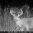 buckkiller322