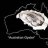 AOyster
