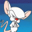 brain