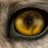 THE WOLF