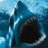 sharkmate