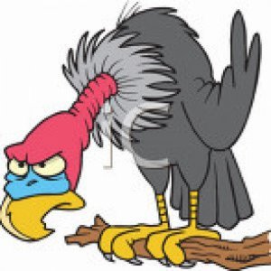 Vulture