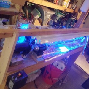 UV