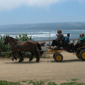 Localtaxi