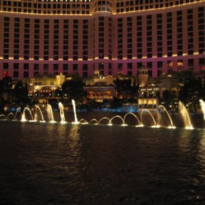 IMG 0459