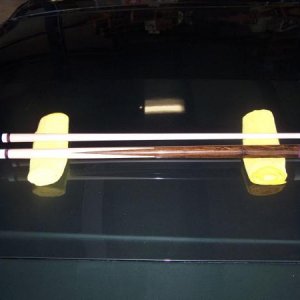 dani's cue 013